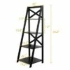 Cheap 🥰 Costway 2 Pcs 4-Tier Ladder Shelf Bookshelf Bookcase Storage Display Leaning Home Office 🔥 -Bookshelves And Bookcases store unnamed file 2340